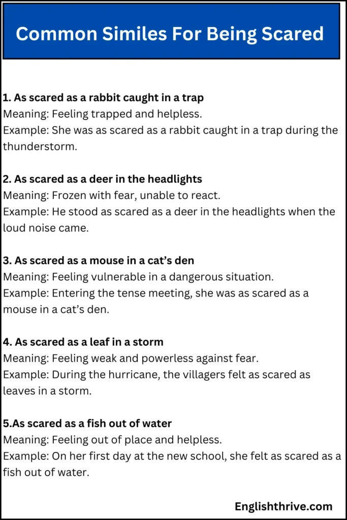Common Similes For Being Scared